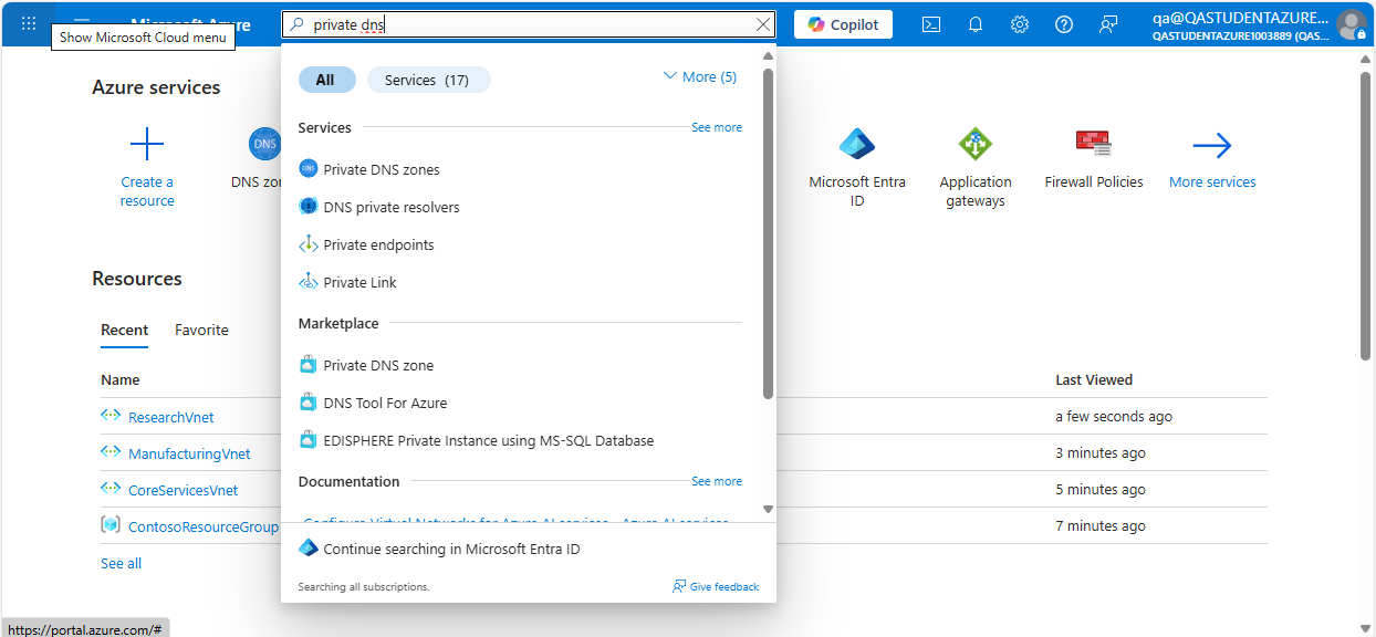 Azure Portal home page with dns search.